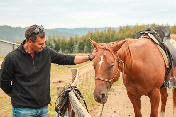 Les bienfaits des baumes chauffants pour le traitement de certaines affections chez le cheval