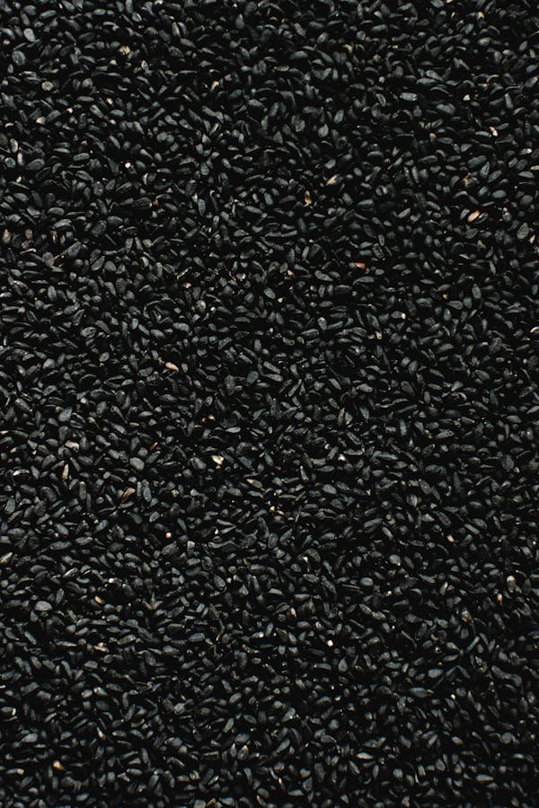 Shilajit : bienfaits naturels pour votre santé et énergie