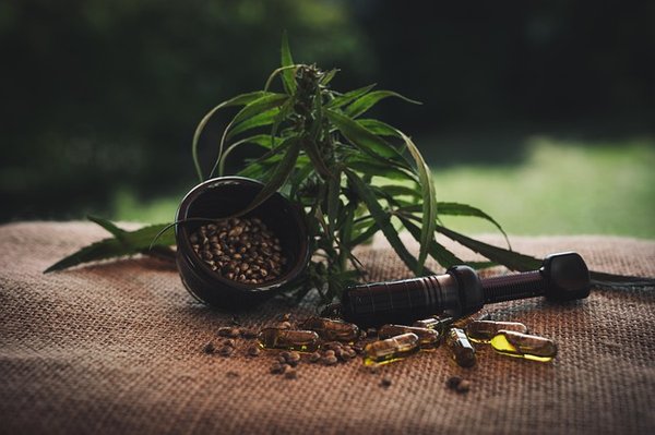 Comment le cbd transforme la routine des combattants sportifs